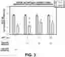Fig. 04 - PERTUSSIS BOOSTER VACCINE