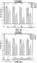 Fig. 11 - PERTUSSIS BOOSTER VACCINE