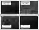 Fig. 01 - SUBUNIT VACCINE CONSTRUCTS FOR FLAVIVIRUSES