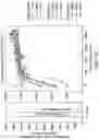 Fig. 40 - SUBUNIT VACCINE CONSTRUCTS FOR FLAVIVIRUSES