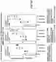 Fig. 72 - SUBUNIT VACCINE CONSTRUCTS FOR FLAVIVIRUSES