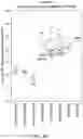 Fig. 77 - SUBUNIT VACCINE CONSTRUCTS FOR FLAVIVIRUSES