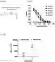 Fig. 09 - VACCINES AGAINST POWASSAN VIRUS, AND METHODS OF USING SAME