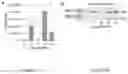 Fig. 03 - METHOD OF PURIFYING VIRUS-LIKE PARTICLES