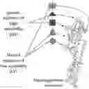 Fig. 01 - IMMUNOGENIC COMPOSITION
