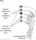 Fig. 02 - IMMUNOGENIC COMPOSITION