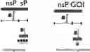 Fig. 01 - RETROVIRAL VECTOR FOR THE ADMINISTRATION AND EXPRESSION OF REPLICON RNA EXPRESSING HETEROLOGOUS NUCLEIC ACIDS