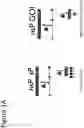 Fig. 02 - RETROVIRAL VECTOR FOR THE ADMINISTRATION AND EXPRESSION OF REPLICON RNA EXPRESSING HETEROLOGOUS NUCLEIC ACIDS