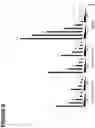 Fig. 08 - RETROVIRAL VECTOR FOR THE ADMINISTRATION AND EXPRESSION OF REPLICON RNA EXPRESSING HETEROLOGOUS NUCLEIC ACIDS