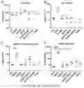 Fig. 07 - MODIFIED HEPATITIS C VIRUS E2 GLYCOPROTEINS AND METHODS OF USE THEREOF