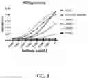 Fig. 09 - MODIFIED HEPATITIS C VIRUS E2 GLYCOPROTEINS AND METHODS OF USE THEREOF