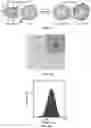 Fig. 04 - NANOPARTICLES, CONTROLLED-RELEASE DOSAGE FORMS, AND METHODS FOR DELIVERING AN IMMUNOTHERAPEUTIC AGENT