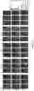 Fig. 09 - NANOPARTICLES, CONTROLLED-RELEASE DOSAGE FORMS, AND METHODS FOR DELIVERING AN IMMUNOTHERAPEUTIC AGENT
