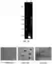 Fig. 24 - NANOPARTICLES, CONTROLLED-RELEASE DOSAGE FORMS, AND METHODS FOR DELIVERING AN IMMUNOTHERAPEUTIC AGENT