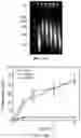 Fig. 25 - NANOPARTICLES, CONTROLLED-RELEASE DOSAGE FORMS, AND METHODS FOR DELIVERING AN IMMUNOTHERAPEUTIC AGENT