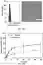 Fig. 31 - NANOPARTICLES, CONTROLLED-RELEASE DOSAGE FORMS, AND METHODS FOR DELIVERING AN IMMUNOTHERAPEUTIC AGENT
