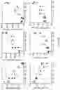 Fig. 41 - NANOPARTICLES, CONTROLLED-RELEASE DOSAGE FORMS, AND METHODS FOR DELIVERING AN IMMUNOTHERAPEUTIC AGENT