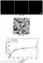 Fig. 45 - NANOPARTICLES, CONTROLLED-RELEASE DOSAGE FORMS, AND METHODS FOR DELIVERING AN IMMUNOTHERAPEUTIC AGENT