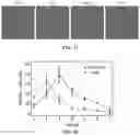 Fig. 48 - NANOPARTICLES, CONTROLLED-RELEASE DOSAGE FORMS, AND METHODS FOR DELIVERING AN IMMUNOTHERAPEUTIC AGENT