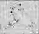 Fig. 01 - TREATMENT METHOD