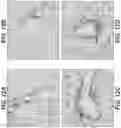 Fig. 15 - TREATMENT METHOD