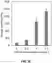 Fig. 07 - In-situ stable injectable collagen-based hydrogels for cell and growth factor delivery