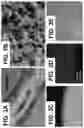Fig. 09 - In-situ stable injectable collagen-based hydrogels for cell and growth factor delivery