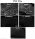 Fig. 28 - COMPOSITIONS AND METHODS FOR THE DELIVERY OF THERAPEUTIC AGENTS ACROSS THE ROUND WINDOW MEMBRANE