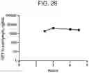 Fig. 35 - COMPOSITIONS AND METHODS FOR THE DELIVERY OF THERAPEUTIC AGENTS ACROSS THE ROUND WINDOW MEMBRANE