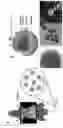 Fig. 02 - NANOPARTICLES AND COMPOSITIONS FOR BIOLOGICAL IMAGING BASED ON X-RAY ATTENUATION