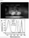 Fig. 12 - NANOPARTICLES AND COMPOSITIONS FOR BIOLOGICAL IMAGING BASED ON X-RAY ATTENUATION