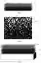 Fig. 04 - BIO-COATING AND IMPLANT