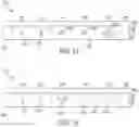 Fig. 35 - Percutaneous urinary catheter