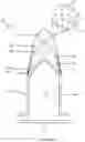 Fig. 04 - On-body microsensor for biomonitoring
