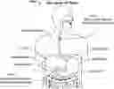 Fig. 01 - Device and implantation system for electrical stimulation of biological systems
