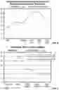 Fig. 04 - Device and implantation system for electrical stimulation of biological systems