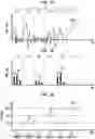 Fig. 06 - Noise reduction for implantable hearing prostheses