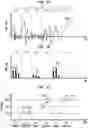 Fig. 07 - Noise reduction for implantable hearing prostheses