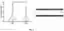 Fig. 07 - Bidirectional spike-timing-dependent brain network gain control