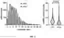 Fig. 09 - Bidirectional spike-timing-dependent brain network gain control