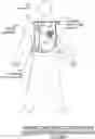 Fig. 01 - Assistant for garment and wearable device fitting