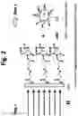 Fig. 03 - Superparamagnetic particle scaffold for regenerating damaged neural tissue