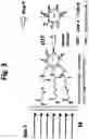 Fig. 04 - Superparamagnetic particle scaffold for regenerating damaged neural tissue