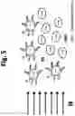Fig. 06 - Superparamagnetic particle scaffold for regenerating damaged neural tissue