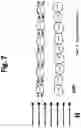 Fig. 08 - Superparamagnetic particle scaffold for regenerating damaged neural tissue