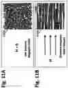Fig. 12 - Superparamagnetic particle scaffold for regenerating damaged neural tissue