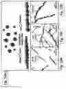 Fig. 20 - Superparamagnetic particle scaffold for regenerating damaged neural tissue