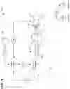 Fig. 02 - Systems and methods for neuromodulation of neuronal circuits using transcranial focused microwave pulses