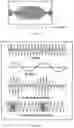 Fig. 02 - Therapeutic devices and methods to improve body functions