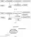 Fig. 04 - Therapeutic devices and methods to improve body functions